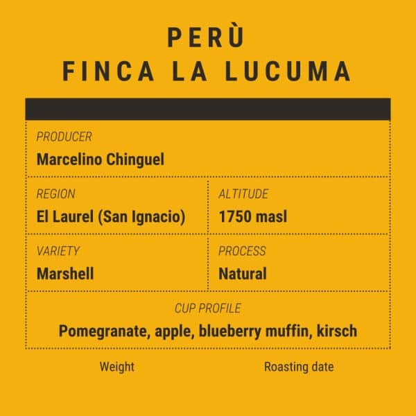 Perù Finca La Lucuma