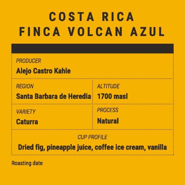 COSTA RICA FINCA VOLCAN AZUL