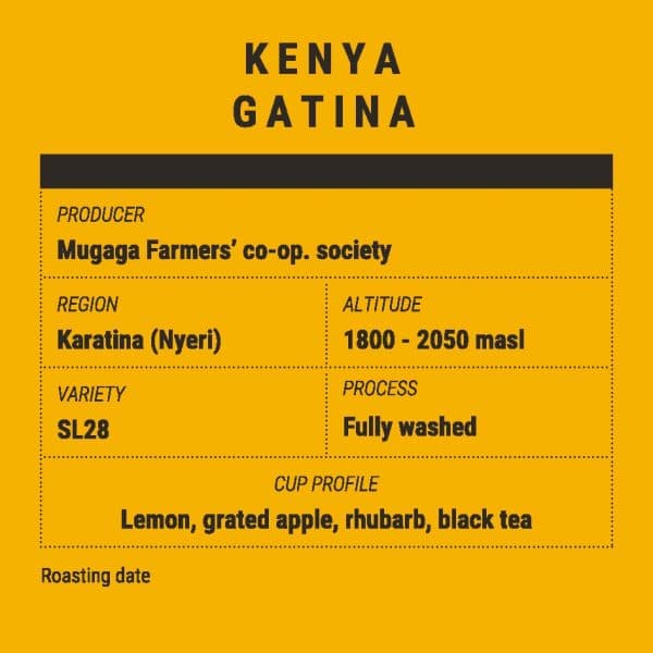 KENYA GATINA