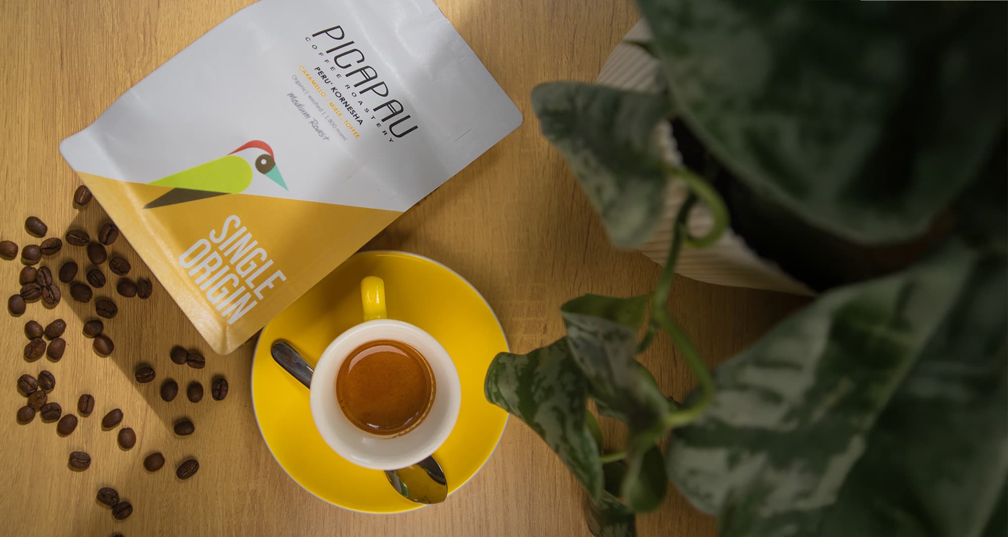 Picapau Coffee Roasters