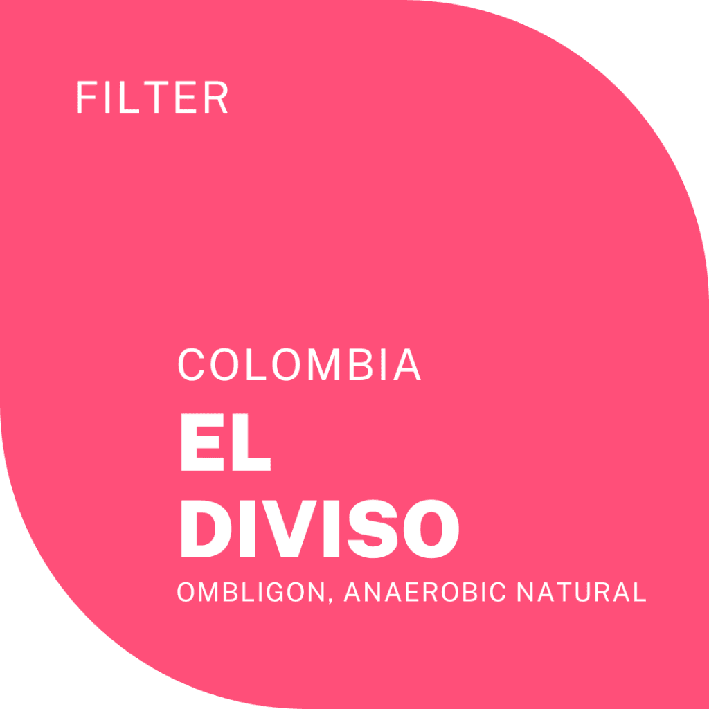 EL DIVISO