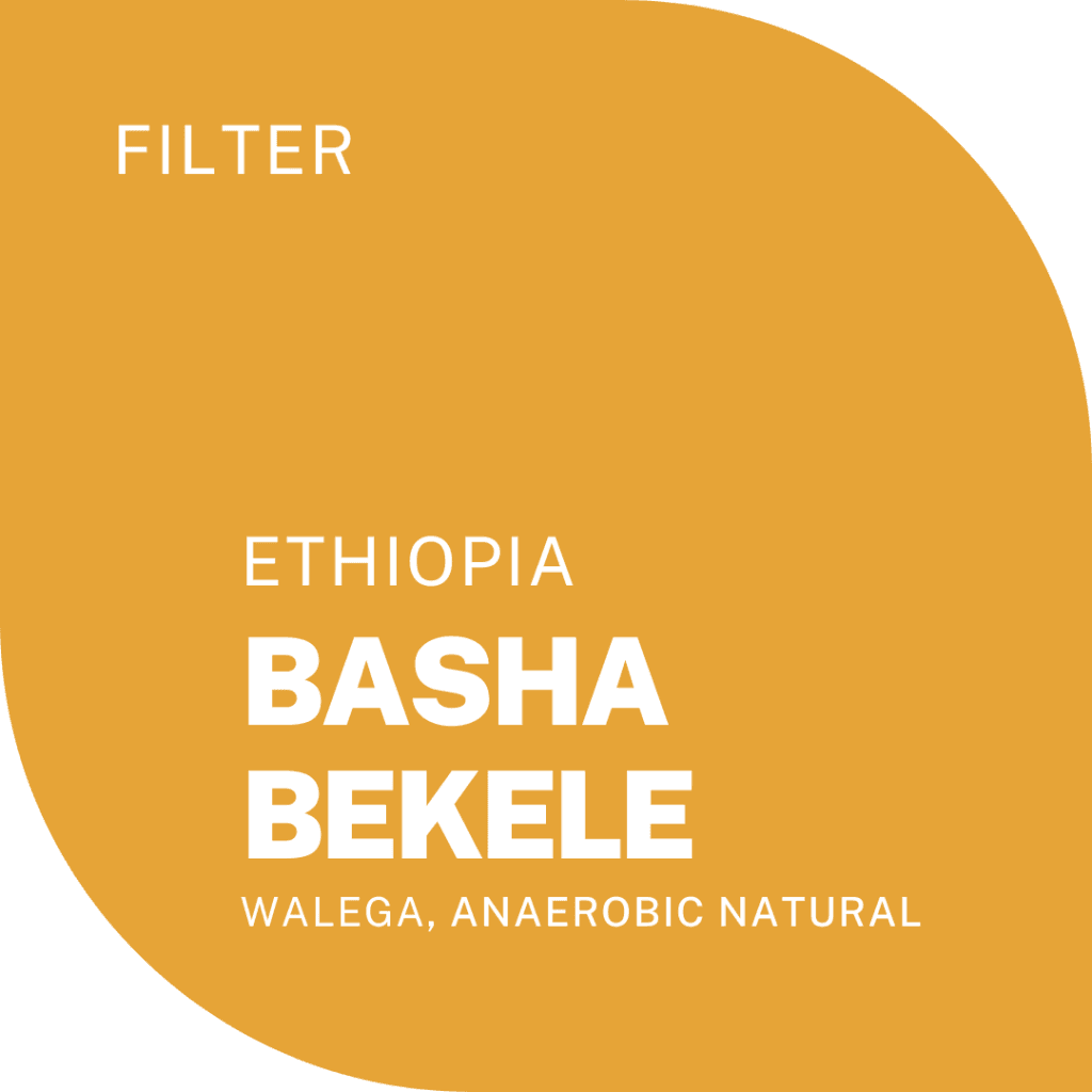 BASHA BEKELE