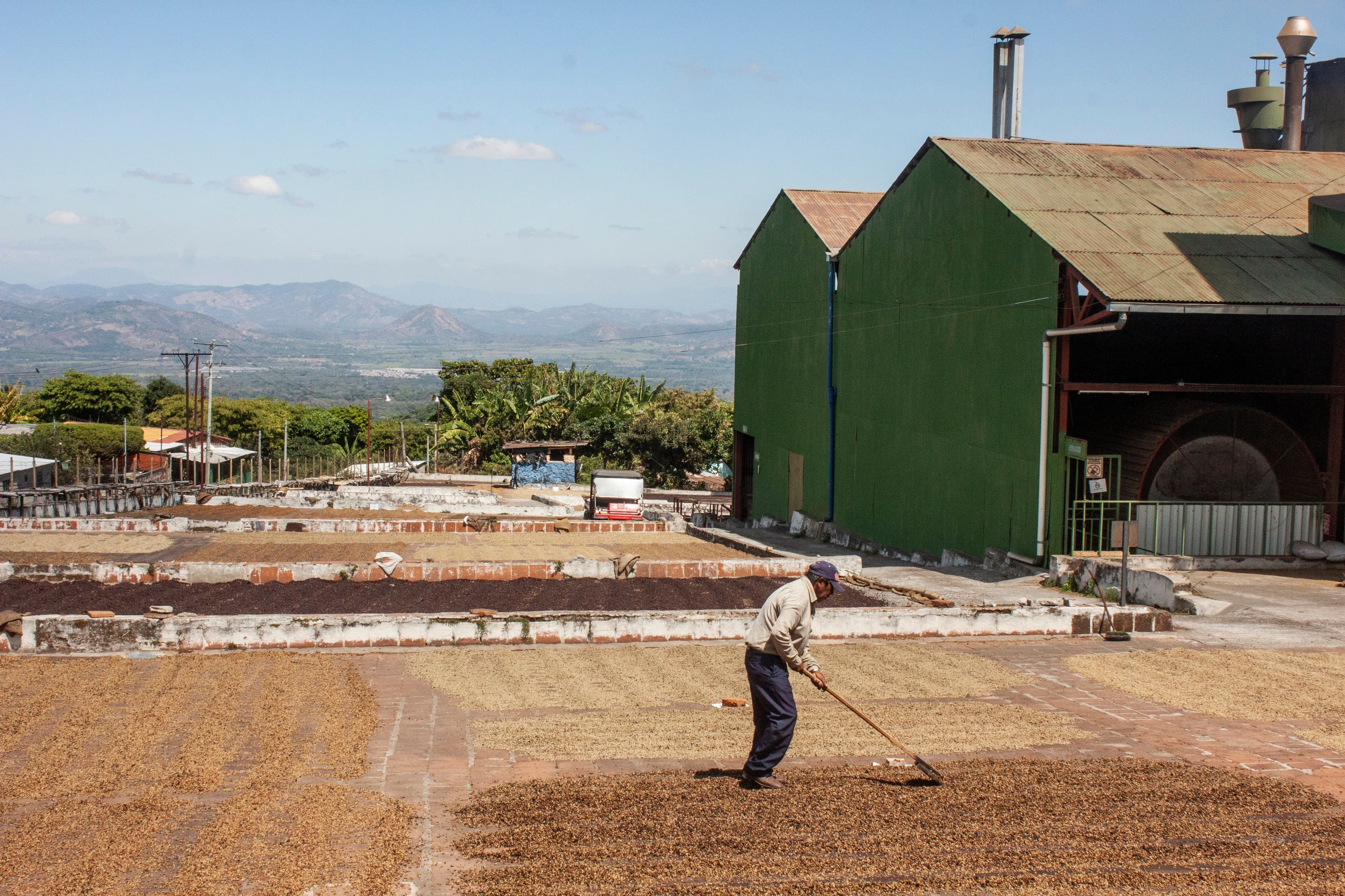 D612 Coffee Roasters