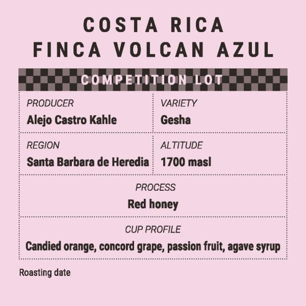COSTA RICA FINCA VOLCAN AZUL – Competition Lot
