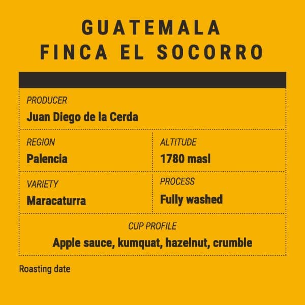 GUATEMALA FINCA EL SOCORRO